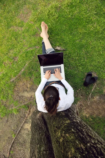 Kvinna med laptop i park — Stockfoto