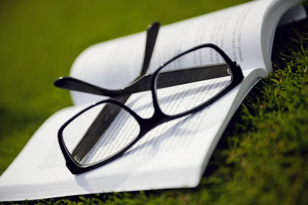 Γυαλιά σε ένα βιβλίο εκτός με χόρτο — Φωτογραφία Αρχείου