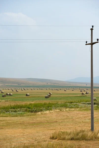 Paisagem verão — Fotografia de Stock