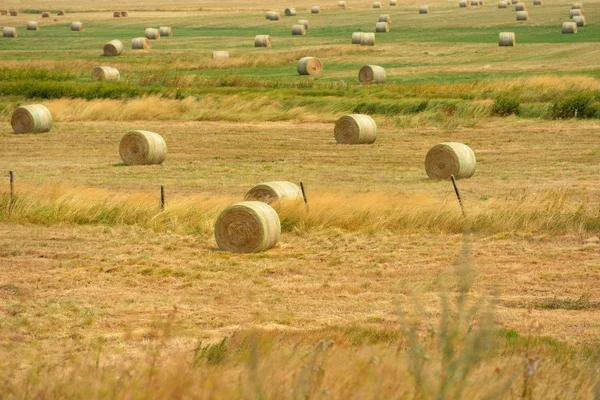 Paisaje verano —  Fotos de Stock