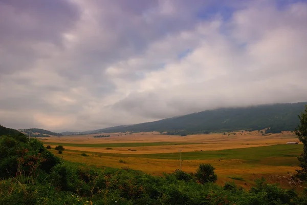 Paisagem verão — Fotografia de Stock