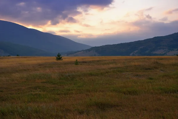 Zomer landschap — Stockfoto