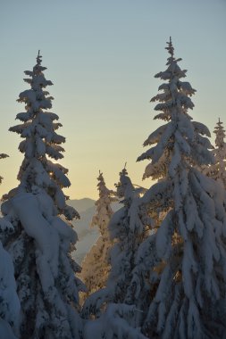 Kış Dağı Manzarası