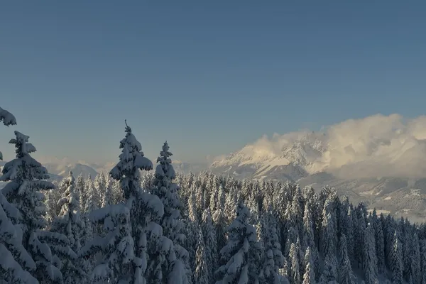 Winterberglandschap — Stockfoto