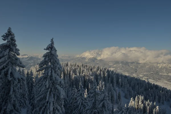 Paesaggio montano invernale — Foto Stock