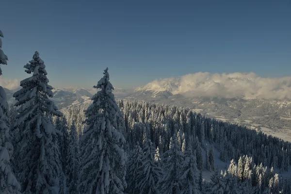 Paisaje de montaña de invierno —  Fotos de Stock