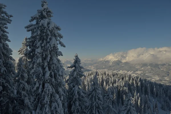 Winterliche Berglandschaft — Stockfoto