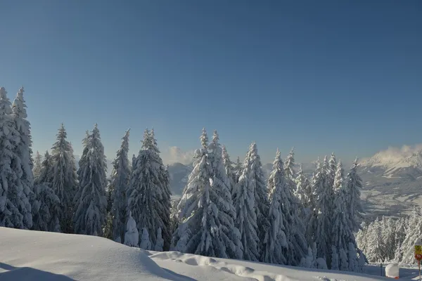 Winter mountain landscape — Stock Photo, Image