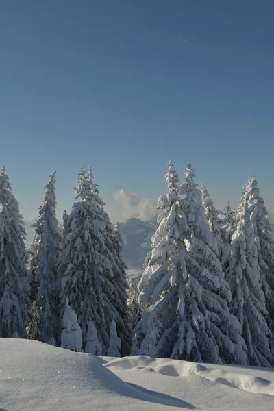 Взимку гірський ландшафт — стокове фото