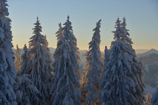 Winterberglandschap — Stockfoto