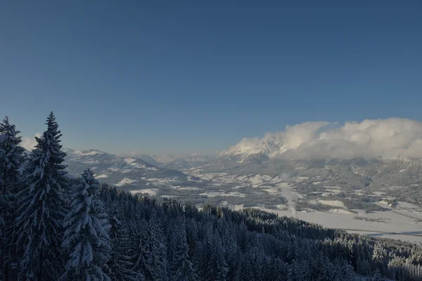 Vinterbergslandskap Stockbild