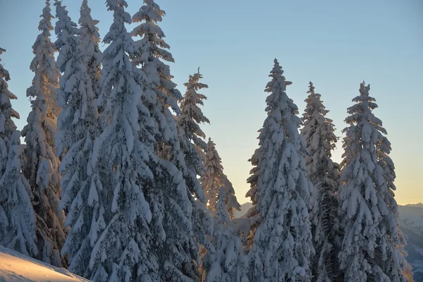 Paesaggio montano invernale — Foto Stock