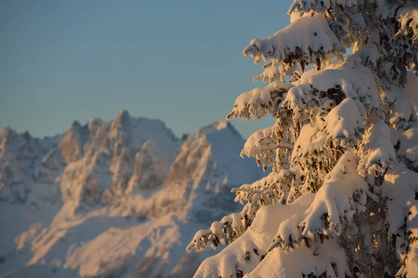 Winterberglandschap — Stockfoto