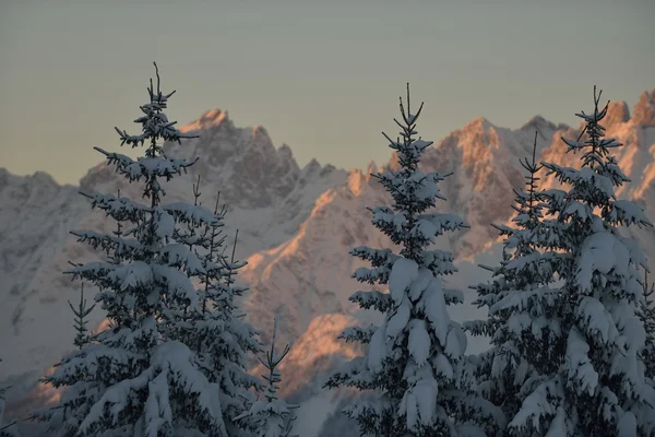 Paysage de montagne d'hiver — Photo