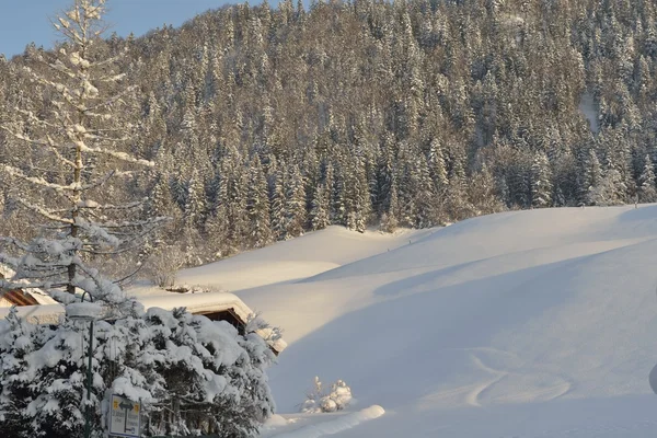 Bomen bedekt met vorst en sneeuw — Stockfoto