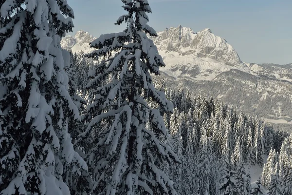 冬の山の風景 — ストック写真