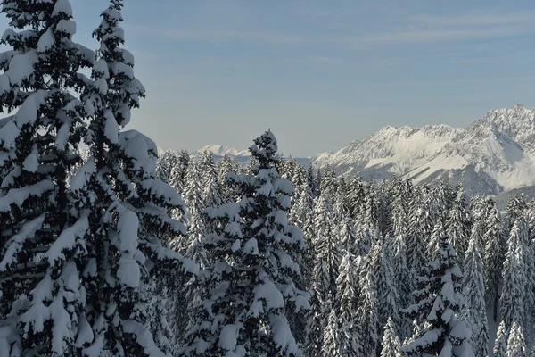 Paisaje de montaña de invierno — Foto de Stock