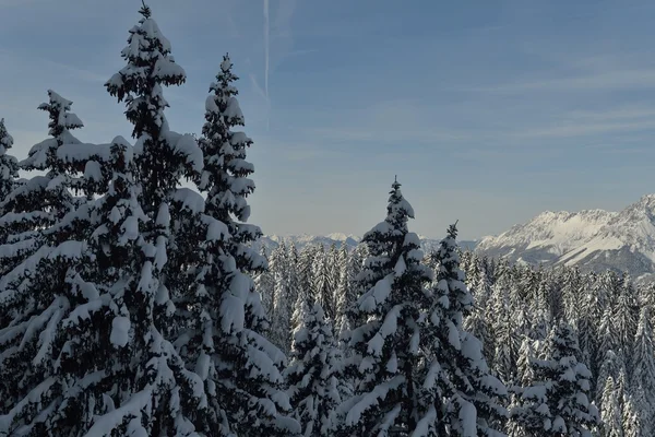 Paisaje de montaña de invierno — Foto de Stock