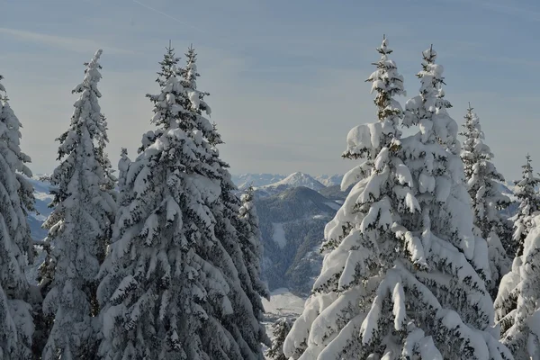 Winterliche Berglandschaft — Stockfoto