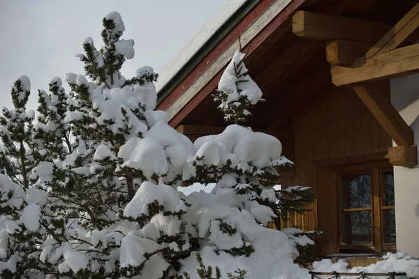 Альпийская хижина зимой — стоковое фото