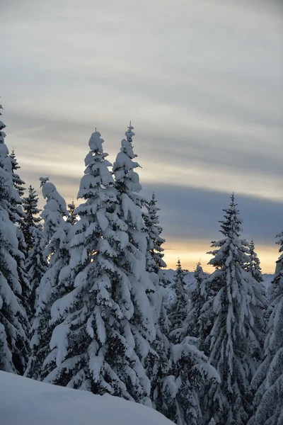 Inverno Montanha Paisagem — Fotografia de Stock