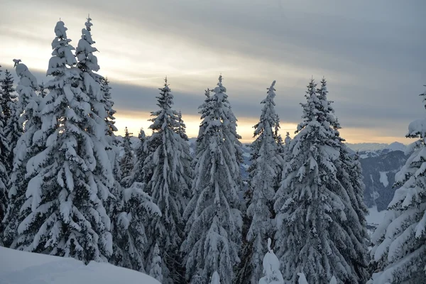 Paisaje de montaña de invierno — Foto de Stock