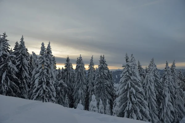 Paesaggio montano invernale — Foto Stock