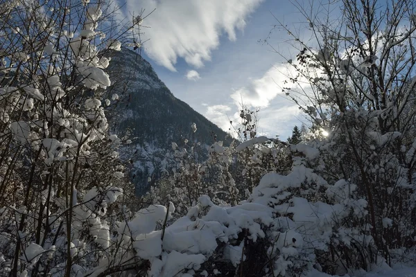 Winter mountain landscape — Stock Photo, Image