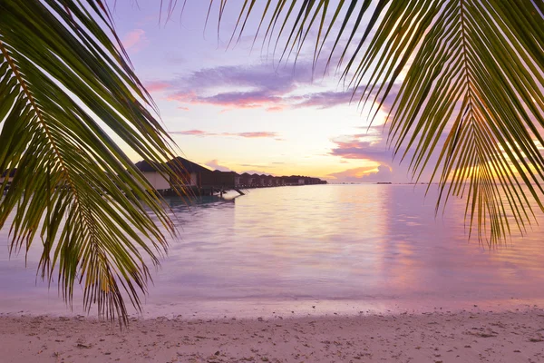 Paesaggio tropicale sulla spiaggia al tramonto — Foto Stock