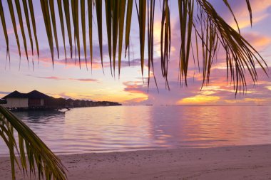 Günbatımında tropik plaj manzarası
