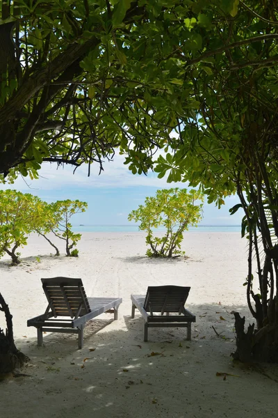 Chaises de plage tropicales — Photo