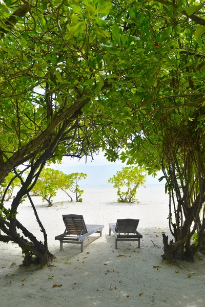Tropická pláž židle — Stock fotografie