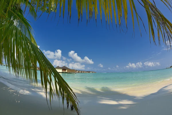 Tropical beach landscape — Stock Photo, Image