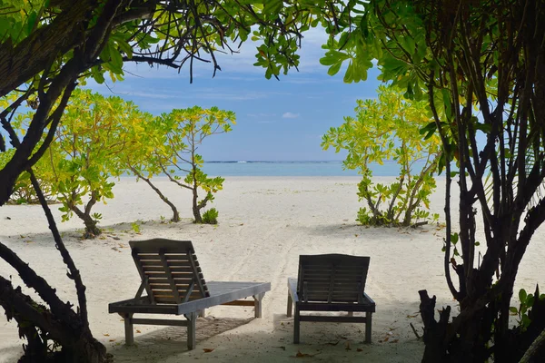 Chaises de plage tropicales — Photo