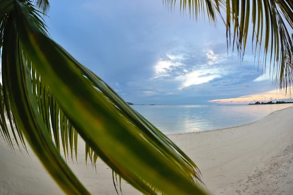 Tropische Strandlandschaft — Stockfoto