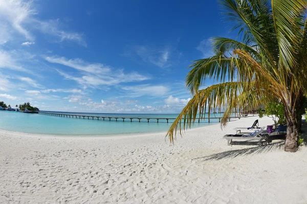 Tropische Strandlandschaft — Stockfoto