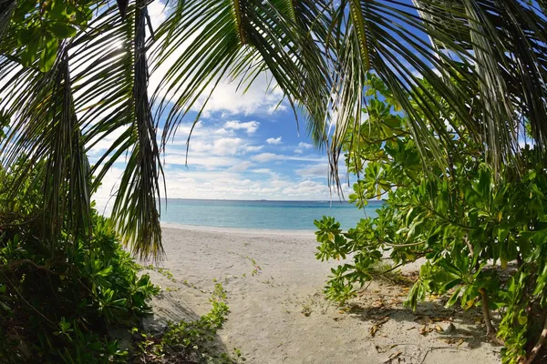 Tropical beach landscape — Stock Photo, Image