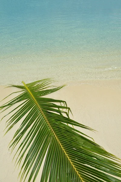 Paisaje de playa tropical — Foto de Stock