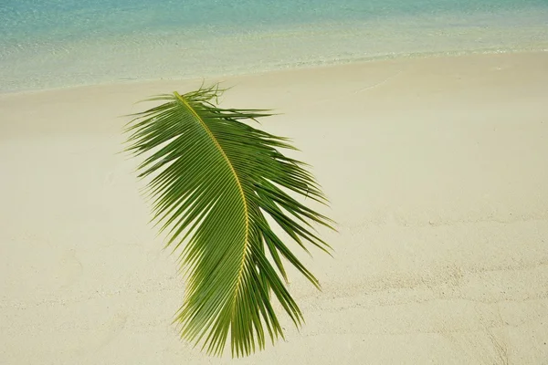 Paisaje de playa tropical — Foto de Stock