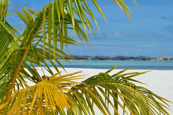 Tropical beach landscape — Stock Photo, Image