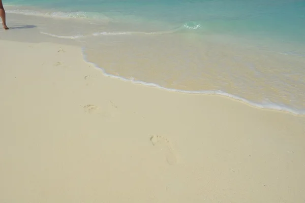 Tropical beach landscape — Stock Photo, Image