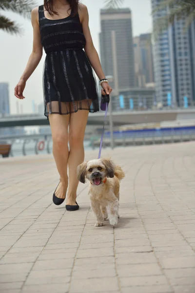 Happy young woman with puppy — Stock Photo, Image