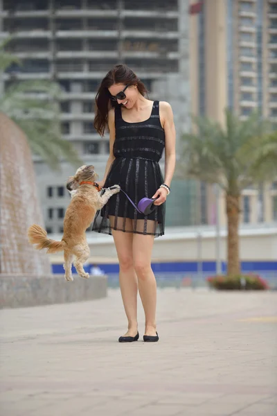 Šťastná mladá žena s štěně bavit — Stock fotografie