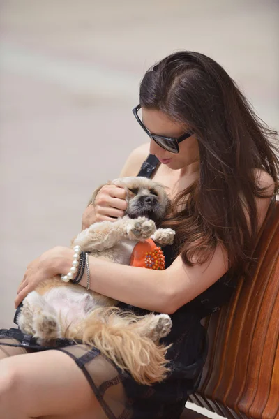 Young woman with puppy — Stock Photo, Image