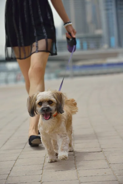 Mutlu genç kadın ile köpek yavrusu — Stok fotoğraf