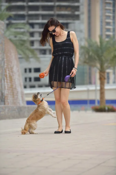 Young woman with puppy have fun — Stock Photo, Image