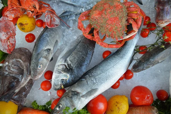 Seafood on ice — Stock Photo, Image