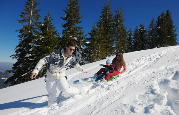 Family ridding sledge — Stock Photo, Image