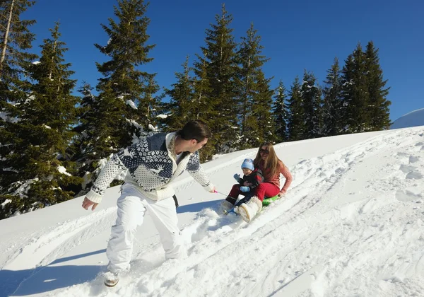 Family ridding sledge — Stock Photo, Image