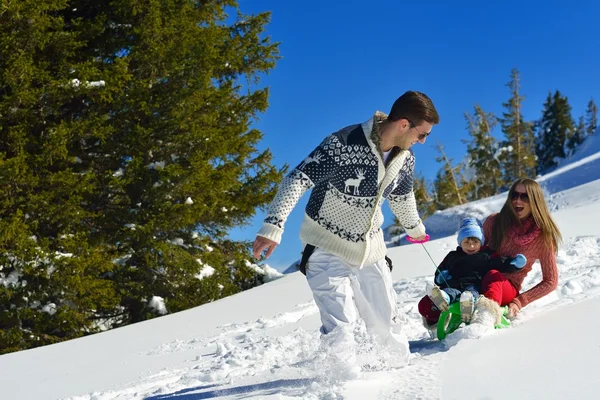 kızak üzerinde sürme aile